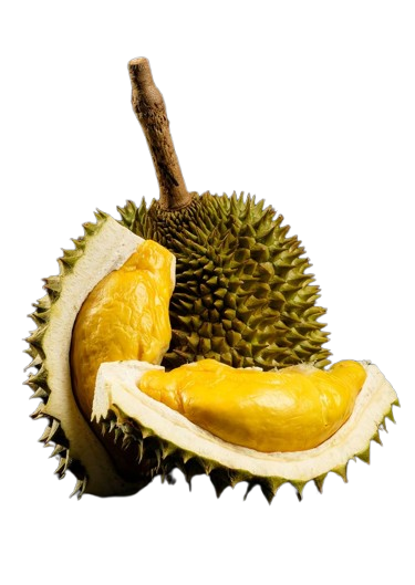 Durian